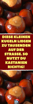 Alleskonner Kastanie 10 Anwendungs Tricks Fur Rosskastanien Kastanien Gut Zu Wissen Tricks