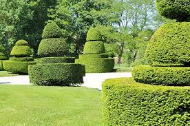 Of course, this applies to pretty much every job out there and is no different in the field of horticulture. 11 Great Career Opportunities From Studying Horticulture International Career Institute Australia