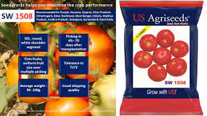 Grow tomatoes from seed (a complete step by step guide)in today's project diary video i will teach you how to grow tomatoes from seeds and show. Hybrid Tomato Seeds Suppliers In India Vegetable Seeds Manufacturers