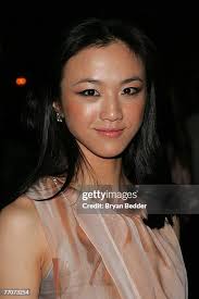 19 Lust Caution Premiere After Party Stock Photos, High-Res Pictures, and  Images