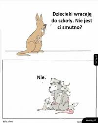 Zajęcia traktowały o aklimatyzacji i odbudowywaniu relacji po powrocie. Powrot Do Szkoly Memy Pl
