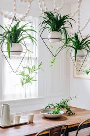 Over Dinning Room Table Wood Table Like In This Picture Hanging Plants House Plants Decor Hanging Plants Indoor