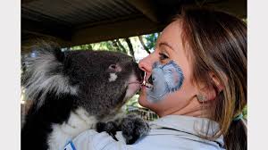 Ballarat Wildlife Park animal face painting: Photos