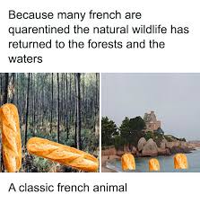 30 Funny Posts Of "Wildlife Returning' To Nature As Humans Are ...