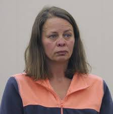 Driver allegedly ran down 2 people