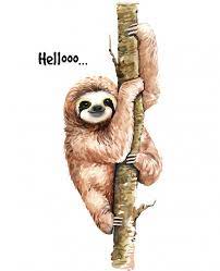Watercolor Sloth Illustration Tropical Animal Sloth Art Animal Drawings Sloth Drawing