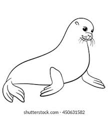Use my cute preschool easy draw harp seal coloring page printable as a way to enjoy quality time together. Coloring Pages Little Cute Fur Seal Stock Vector Royalty Free 450631582
