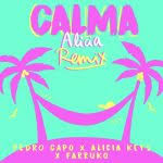 Pedro capó, alan walker, farruko — calma (alan… iggy azalea — f*ck it up (official music video) ft. Poll Best Songs Of 2019 Soundarts Gr