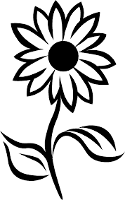 Black And White Sunflower Clipart Free Insignes Clip Art Library Sunflower Drawing Sunflower Black And White White Sunflowers