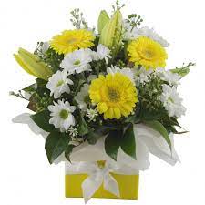 Send flowers to hospital brisbane. Flower Delivery Royal Brisbane Women S Hospital Get Well New Baby