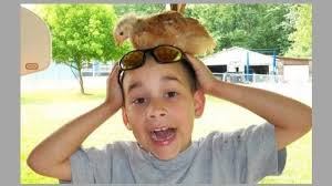 Petition · Justice and Accountability for Longstanding Failures in Surry  County