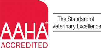 American pet clinic ceres, ca 95307. Visit Sierra Veterinary Hospital In Stockton Ca