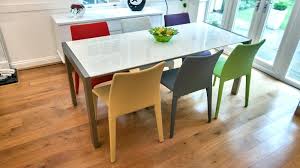 coloured dining chairs coloured dining