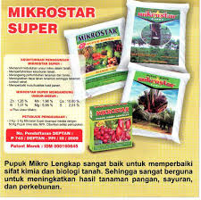 4 cara menanam rumput gajah mini yang baik di rumah minimalis 1. Pupuk Untuk Rumput Gajah Mini Pupuknatural