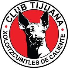 We would like to show you a description here but the site won't allow us. Club De Deportes Nublense Logo Download Logo Icon Png Svg