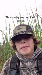 Understanding the Importance of Geese in Our Ecosystem