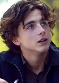 Fan Casting Cameron Boyer as Regulus Black in Marauders show