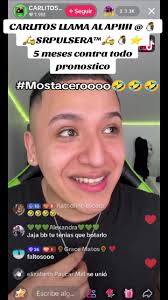 Alfa Llama A Carlitos