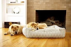 Your best friend deserves the best dog beds for home and on the road. The Best Dog Beds For Home Travel And More