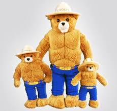 Please fill in the fields below and then click sign. Smokey Bear Chicago Fire And Cop Shop