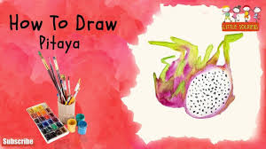 Draw Dragon Fruit Pitaya Fruit Drawing For Kids Little Soldiers Fruits Drawing Dragon Fruit Pitaya Drawing For Kids Doodle drawings easy drawings animal drawings fruits drawing food drawing learn to sketch learn to draw fruit sketch art for kids. draw dragon fruit pitaya fruit drawing