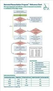 Details About Neonatal Resuscitation Program Reference Chart Paperback By American Academy