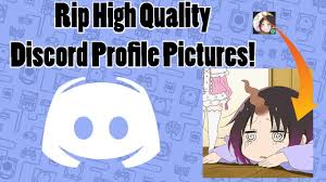 Good profile pictures for discord. How To Steal High Quality Discord Profile Pictures Youtube