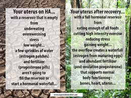 It also prohibits the muscle contractions in the uterus that would cause the body to reject an egg. Progesterone And Periods No Period Now What