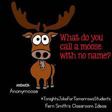 Tonight S Joke For Tomorrow S Students What Do You Call A Moose With No Name An Fern Smith Call Fern Funny Jokes For Kids Cute Jokes Funny Puns Jokes