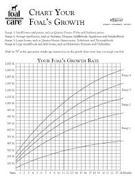 Foal Growth Rates