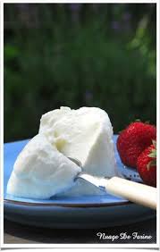 Fromage Blanc Et Ou Petits Suisses Sans Presure Multi Delices Fromage Blanc Recette Fromage Fromage