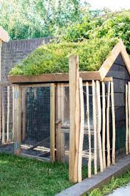 Privates Haus Garten Ein Land Garten Mit Huhnern Und Grun In 2020 Cottage Garden Garden Design Easy Garden