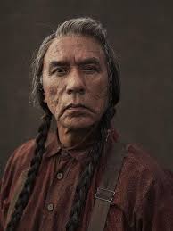 Wes Studi's Life and Career as a Native American Actor