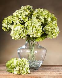 2.9 out of 5 stars, based on 17 reviews 17 ratings current price $8.00 $ 8. Hydrangea Silk Flower Stem Fake Flower Arrangements Artificial Flower Arrangements Hydrangea Flower Arrangements