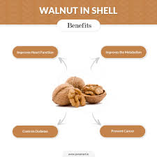 Quality extra light no shell whole foods shelled 500g 2kg 10kg 5kg organic. Buy Walnuts In Shell Online 1kg Akhrot At 30 Off Cod Available Puremart