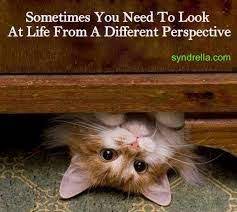 Pin On Inspiration Inspirational Quotes Words Of Wisdom