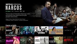 Netflix | TV App | Roku Channel Store ...