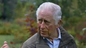 King Charles back at work