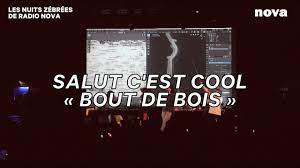 Je me promenais en forêt et j'ai trouvé un bout de bois par terreil avait l'air un peu spécial, alors j'ai poussé les feuilles qui le recouvraient pour l'observer et de bois (×4) et maintenant je prends super soin de mon bout de bois je l'amène en ville, on fait des activités c'est un bon vieux pépère et je le. Salut C Est Cool Bout De Bois Les Nuits Zebrees De Radio Nova Youtube