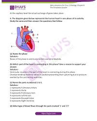 Selina Solutions Concise Biology Class 10 Chapter 8 The Circulatory System Available In Free Pdf