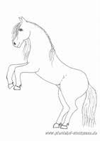 Pferdehof Stockmann Zellingen