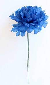 25 Most Beautiful Types Of Blue Flowers You Haven T Seen Before Blue Flower Tattoos Blue Carnations Carnation Flower