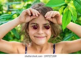 11+ Thousand Cherry Picking Season Royalty-Free Images, Stock Photos &  Pictures