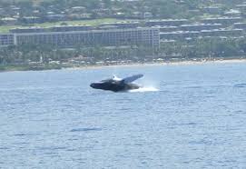 Their latin name, megaptera females nurse their calves for almost a year, though it takes far longer than that for a humpback whale to reach full adulthood. Full Breach Humpback Whale Picture Of Wailea Maui Tripadvisor
