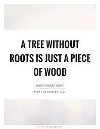 A Tree Without Roots Is Just A Piece Of Wood Picture Quotes