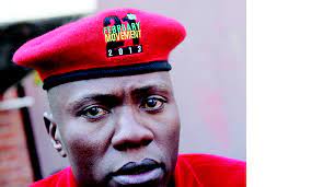Ex-Zanu PF terror leader spills the beans -Newsday Zimbabwe