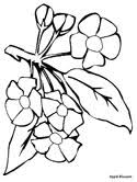 Flowers surround us with beauty and color our lives. Flowers Coloring Pages