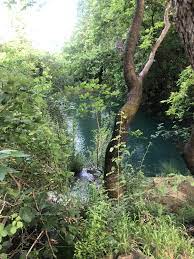 antalya orman parki manzarasi antalya ormanlar manzara resimleri