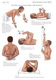 Image result for Shoulder Range of Motion Exercises