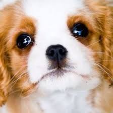 Latest top rated most viewed longest. Maisy Ellis Maisystampy On Pinterest
